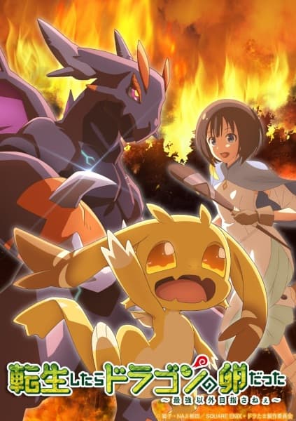 Episodio 11