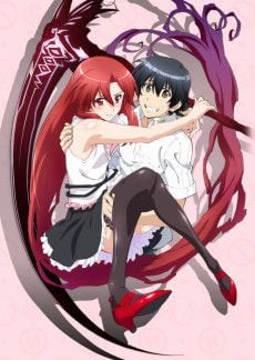 Dakara Boku wa, H ga Dekinai
